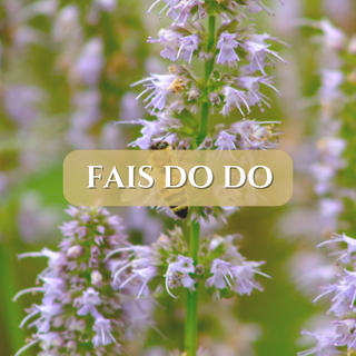 Fais Do Do