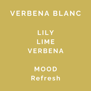 Verbena Blanc