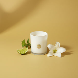 14oz Boxed Glass Candle